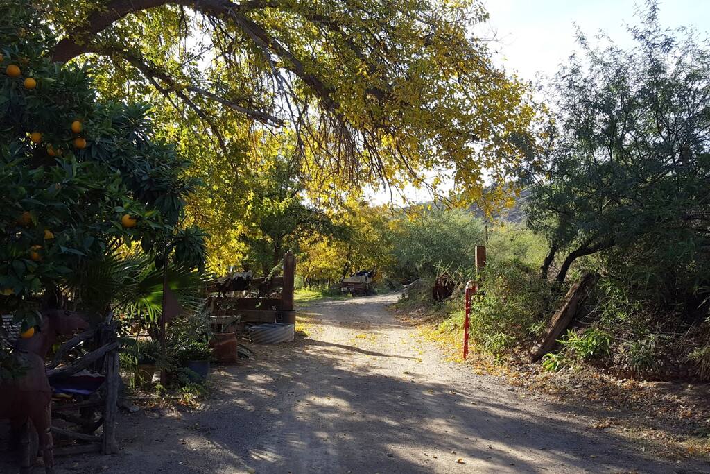C. Steele Aravaipa Canyon Casita Farm stays for Rent in Winkelman