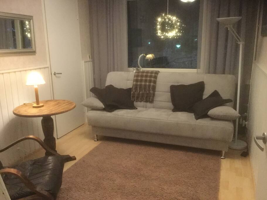 Bedroom 2, 140 cm sofa-bed