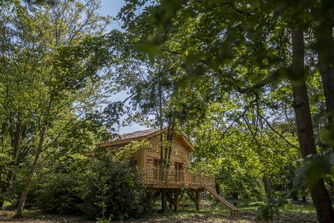Charlie's World "The Fun-Nest Cabin"