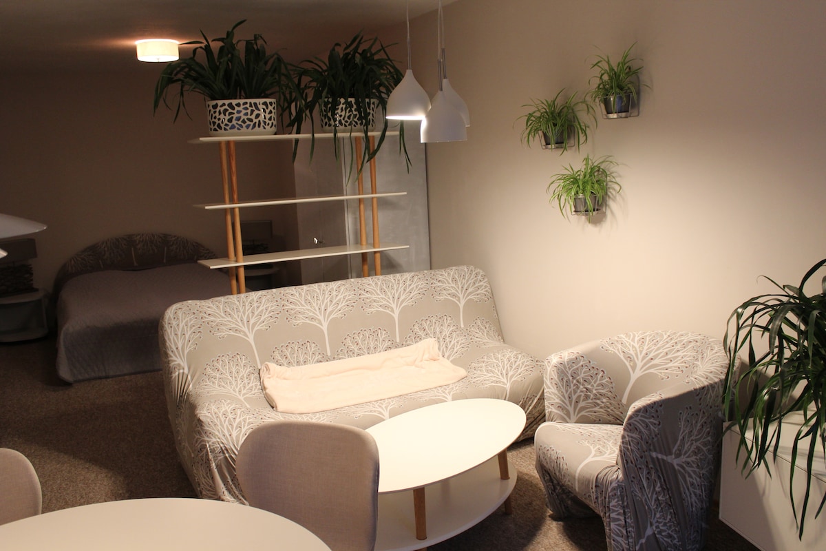 A comfortable seating area features a patterned sofa and an accent chair, complemented by a round coffee table. Shelves with potted plants provide a touch of greenery, while a softly lit pendant light illuminates the space. A bed is visible in the background.