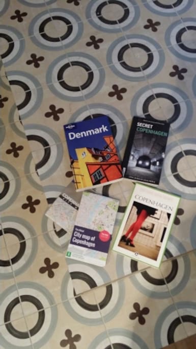 few books to navigate in copenhagen