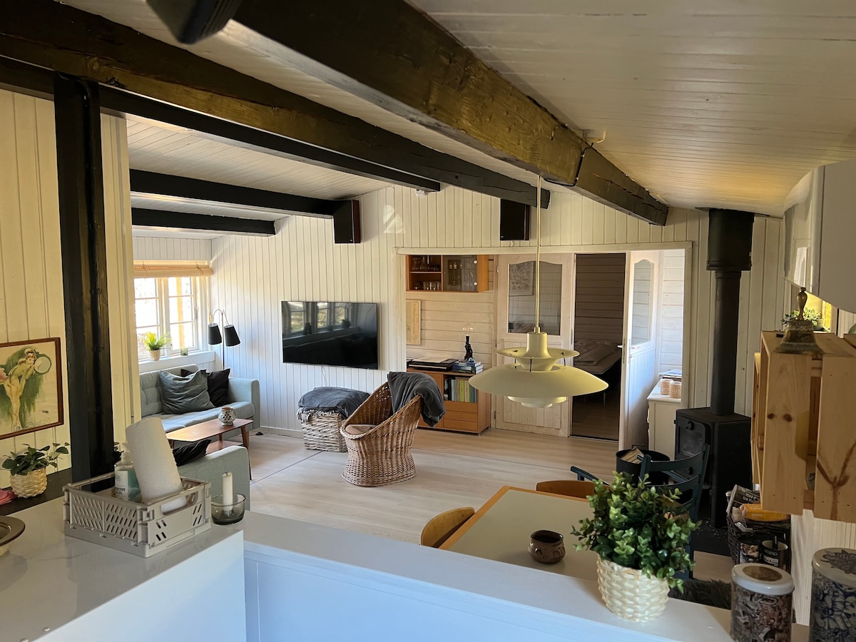 The open living area features a cozy arrangement with a comfortable seating area, a wall-mounted TV, and natural light from the windows. A dining space is visible, furnished with a table and chairs. The kitchen area is integrated, showcasing wooden accents and a warm ambiance.