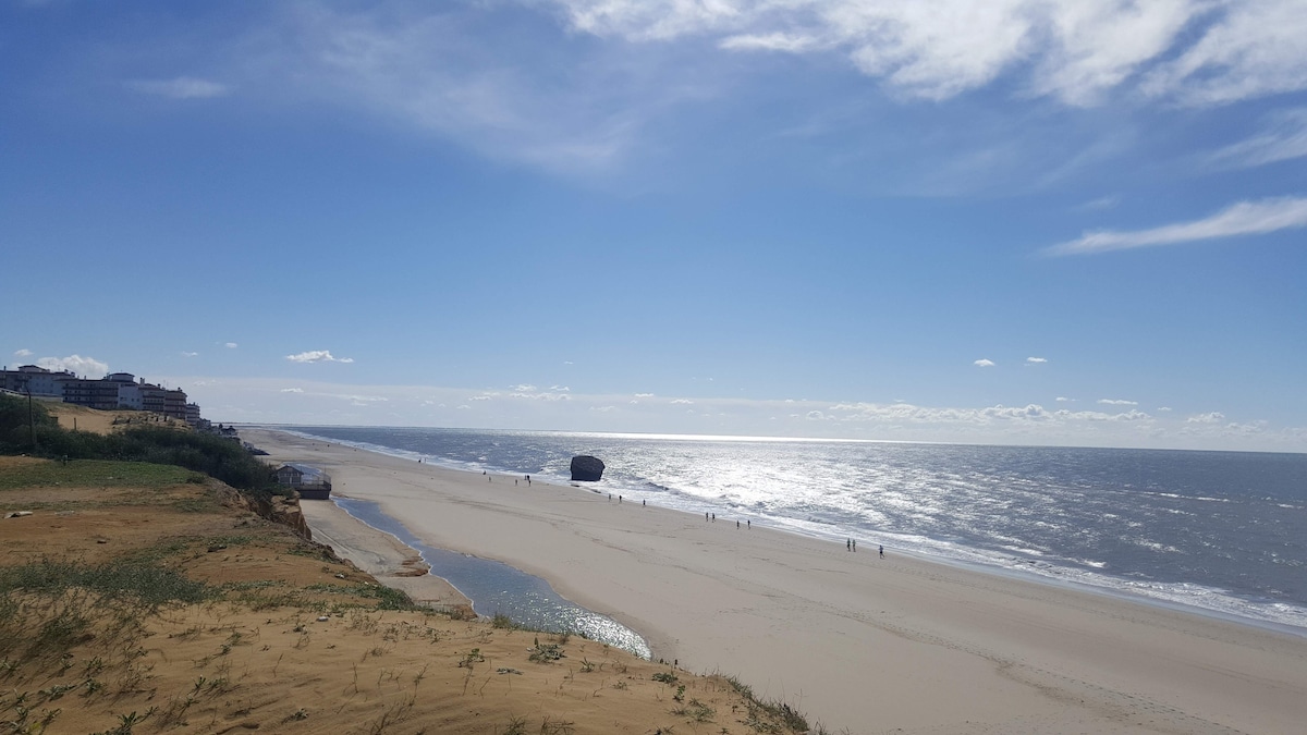 A sandy beach stretches under a clear blue sky, with gentle waves reflecting sunlight. In the distance, figures can be seen enjoying the shoreline, while a shipwreck rests offshore. The coastal area is bordered by dunes and low vegetation, providing a natural backdrop.