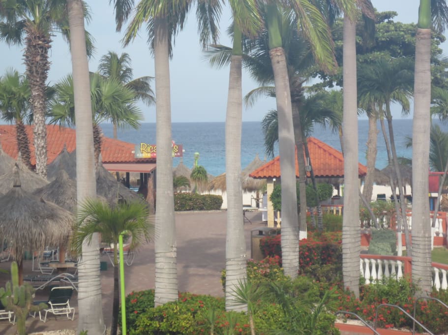 View of the beautiful palm trees surrounding the property.