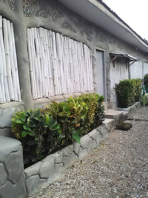Side view