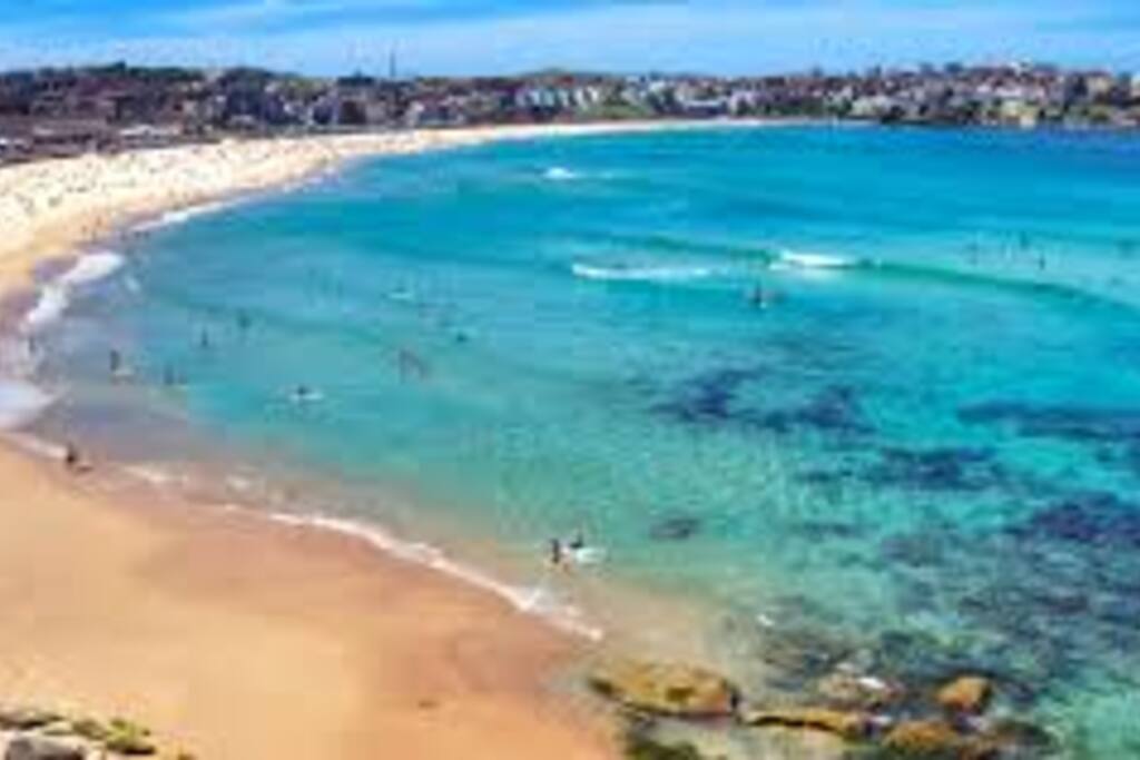 Bondi Beach just 5 min walk down the street