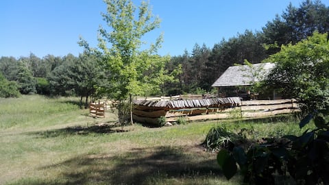 Little forest house near the Vistula River