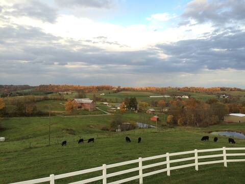 Great for Families, Awesome View, Amish Country