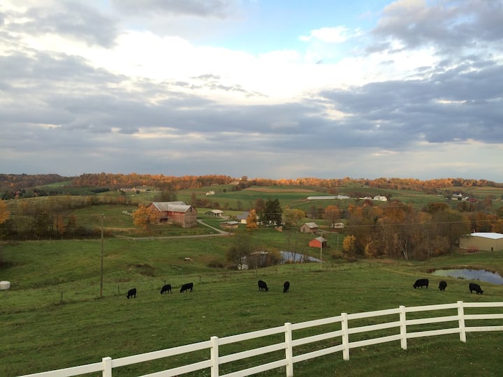 Great for Families, Awesome View, Amish Country