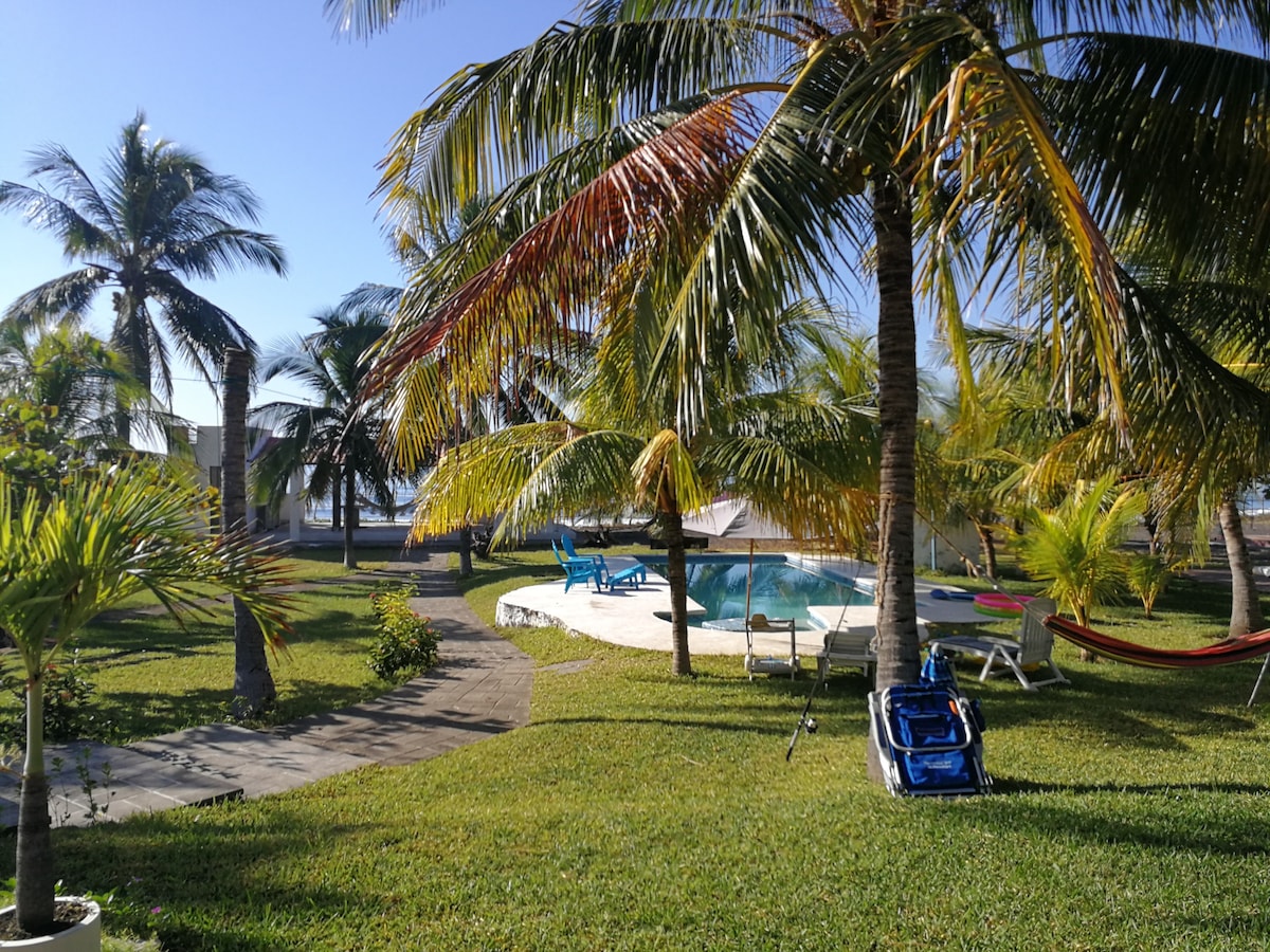 A well-maintained garden area features lush greenery and palm trees surrounding a crystal-clear pool. Comfortable lounge chairs are positioned near the water, and a hammock is visible, inviting relaxation. The ocean can be seen in the background, enhancing the tranquil outdoor setting.