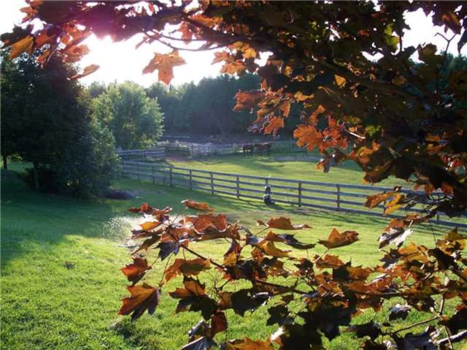 On calm days the sounds of horses grazing will lull you to sleep.
