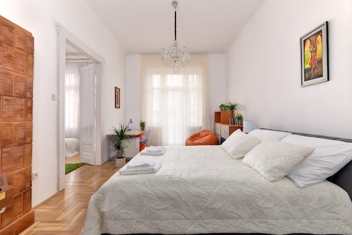 Charming Flat (83m2, Luxurious Brs A/c) - Budapest