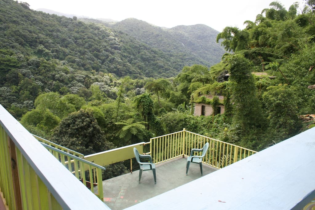 View from a common area