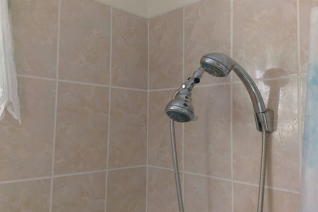 Handheld Showerhead