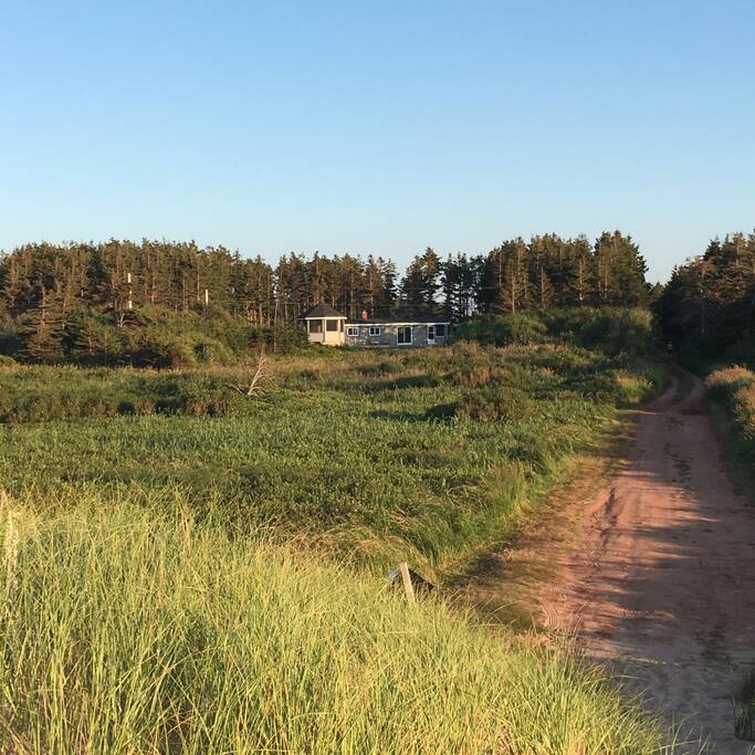 Beach house from the dunes