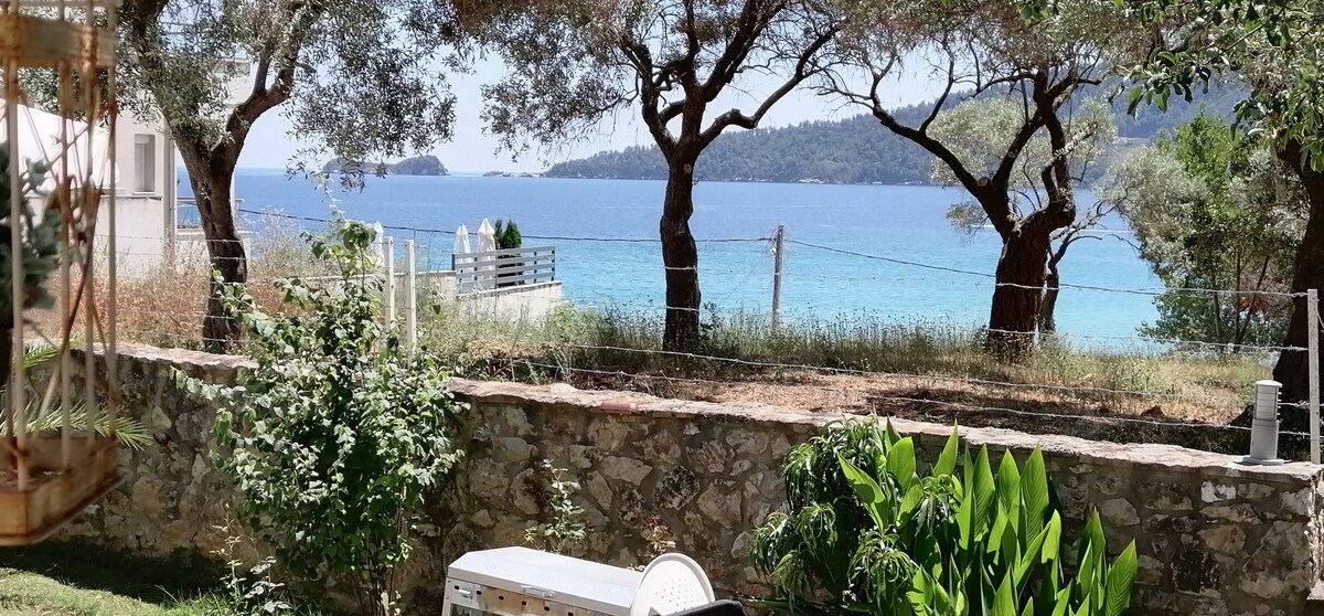 The image showcases a scenic view of the turquoise sea framed by lush green trees. A stone wall is visible in the foreground, with a glimpse of the beach in the distance. The landscape offers a tranquil atmosphere with a combination of nature and water.