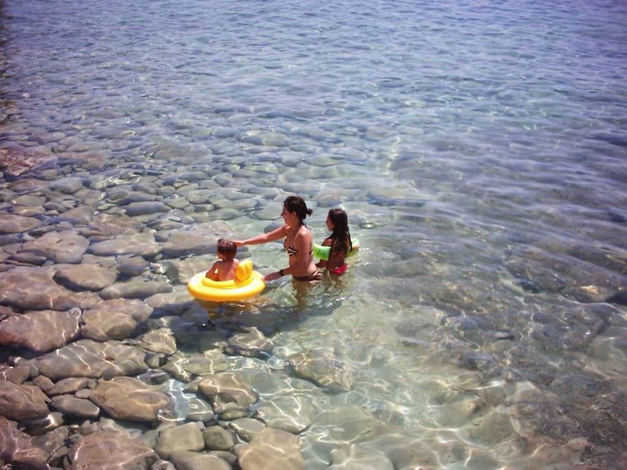 mare