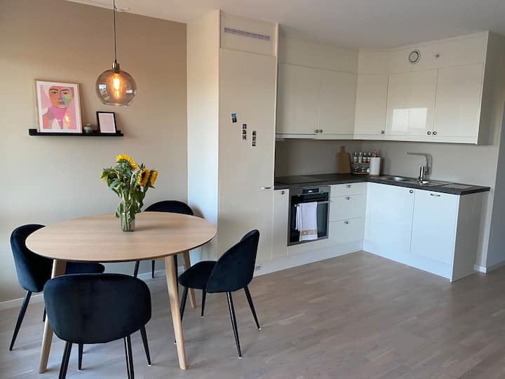 Stylish apartment with terrace