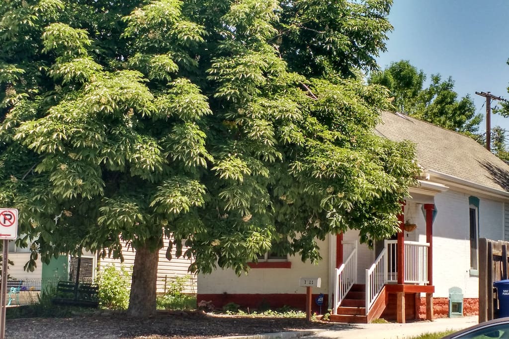 Front Yard