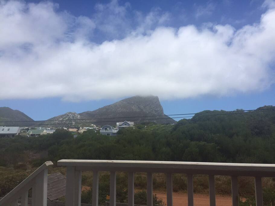 View from the deck