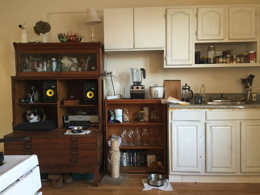 Kitchen View 2