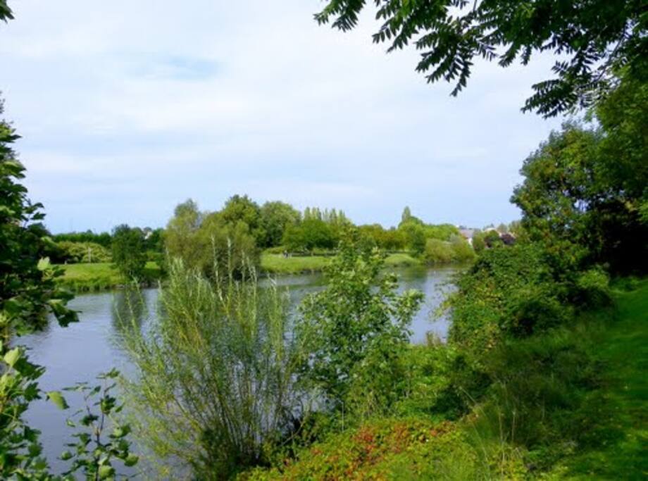Promenade derrière la maison