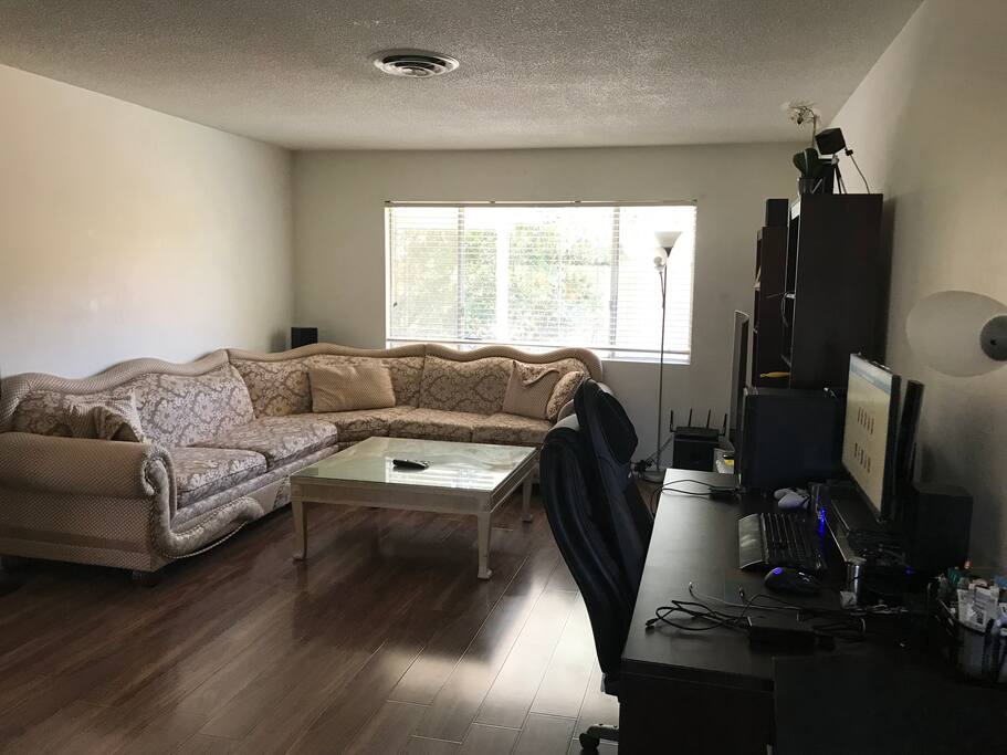 Living Room Couch