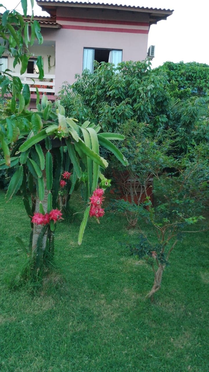 A lush garden area showcases vibrant pink flowers hanging from a green plant. Surrounding foliage includes various shrubs and trees, contributing to the natural beauty of the space. A residential structure is visible in the background, partially obscured by greenery.
