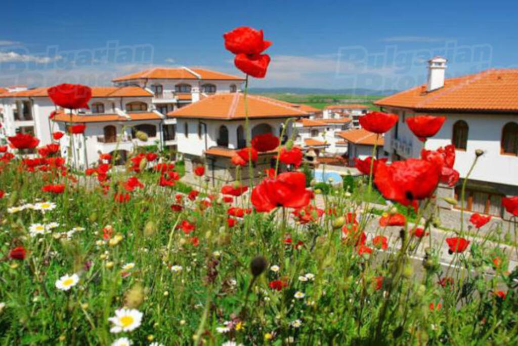 General view of the resort