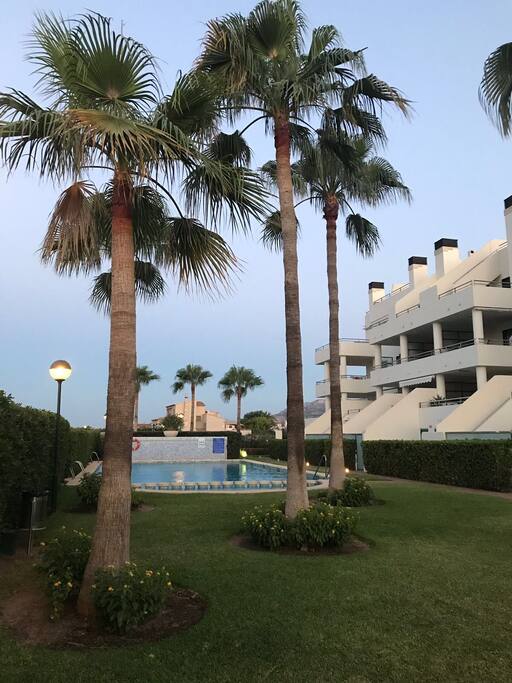 Jardín y piscina