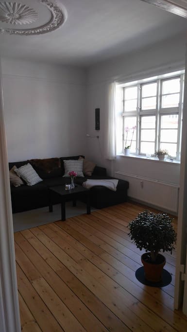 Living room with pull out sofa bed