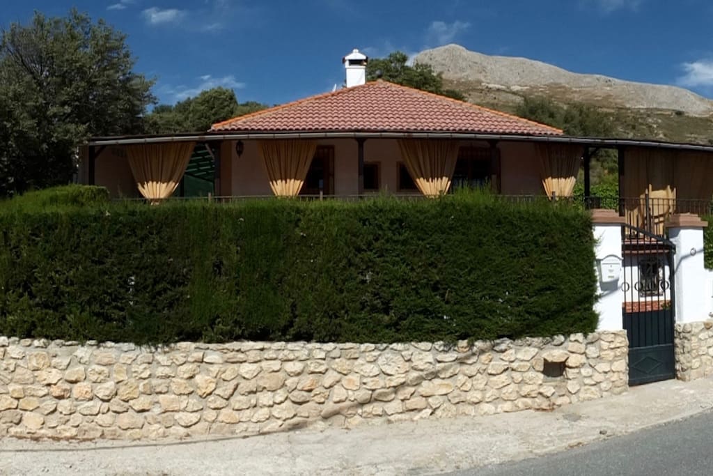 View From the Street 2/Vista de la Calle