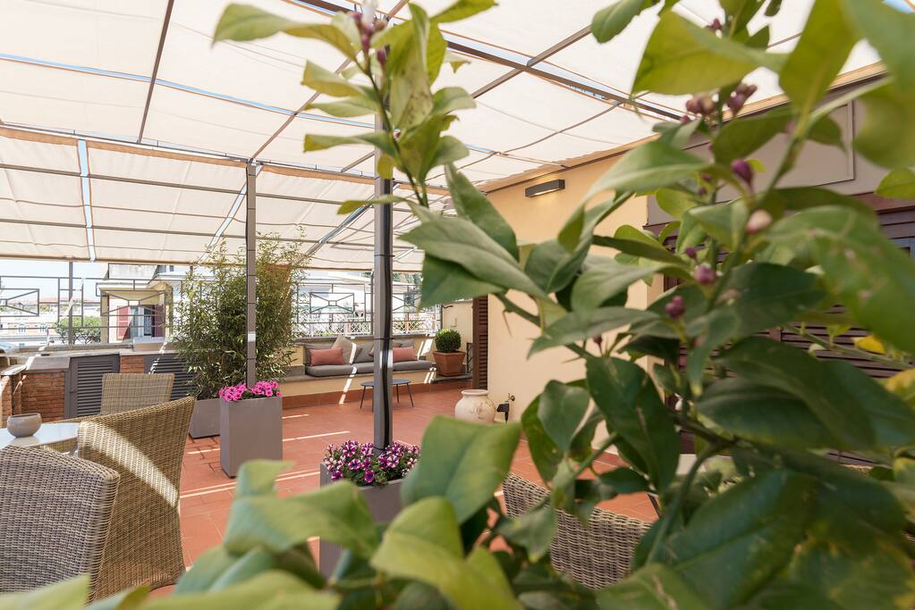 terrace
