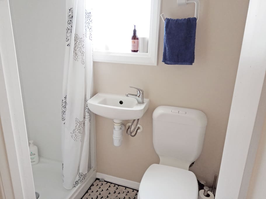 The ensuite bathroom! Your own private toilet, basin and shower.