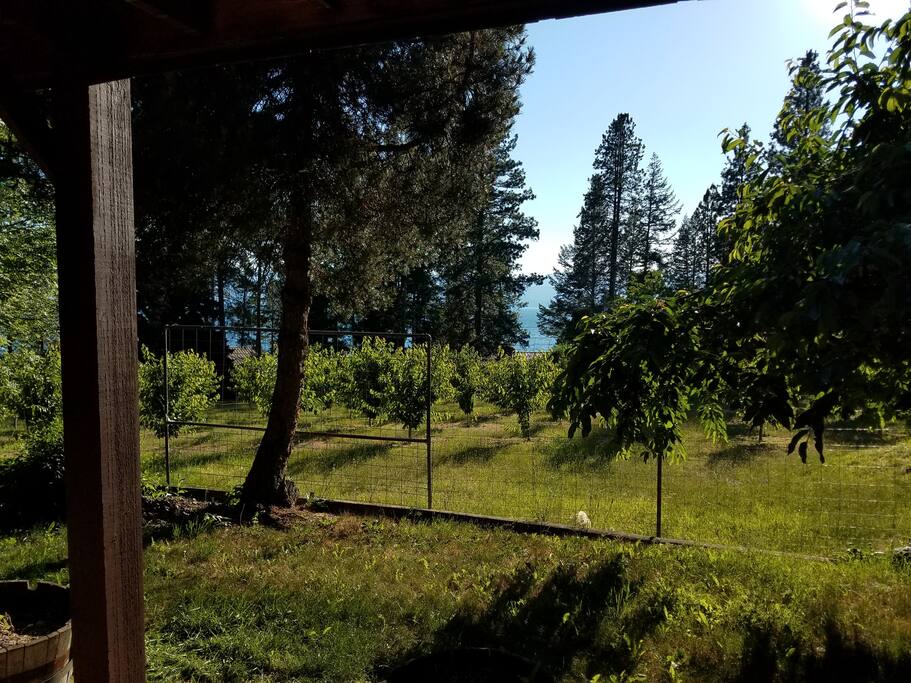 Apartments For Rent Bigfork Mt Apartments For Rent Bigfork Mt