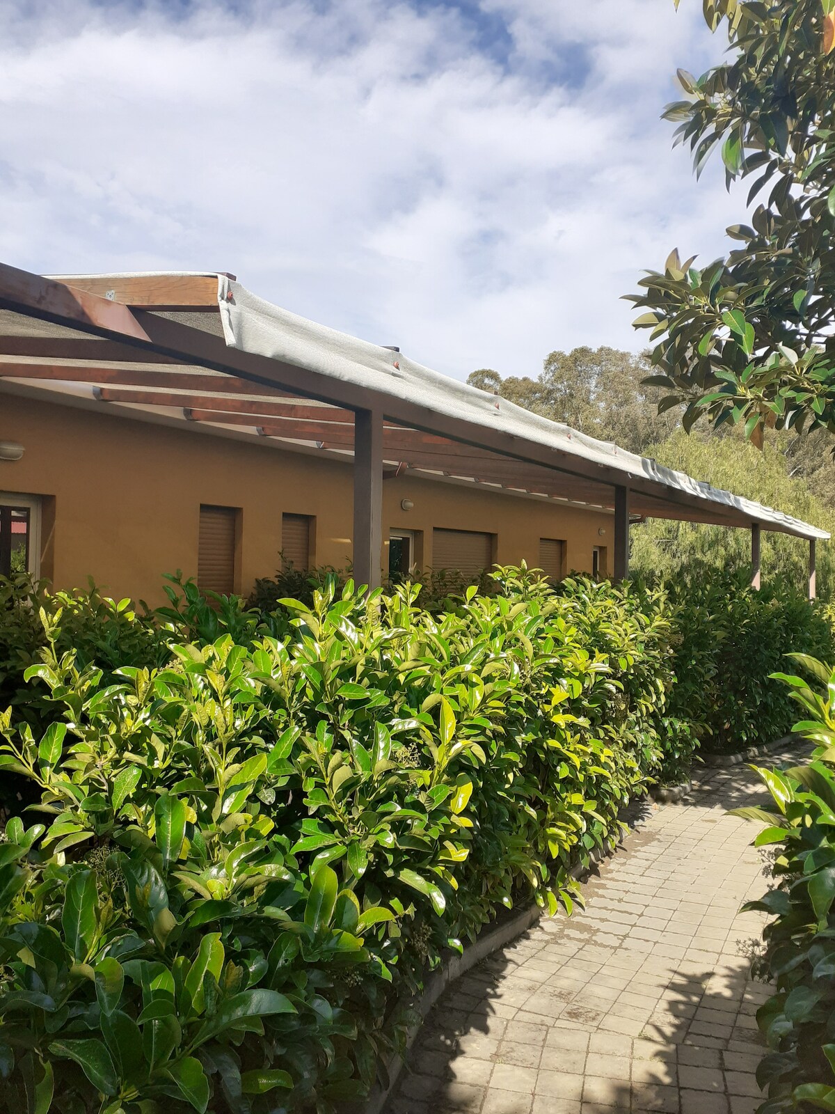 A path made of pavers leads to a modern building, partially shaded by an overhanging roof. Lush greenery surrounds the structure, creating a natural border. The sky features scattered clouds, contributing to a relaxed outdoor ambiance.
