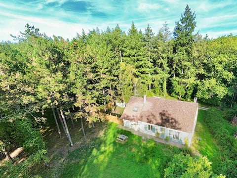 In the heart of the forest and castles