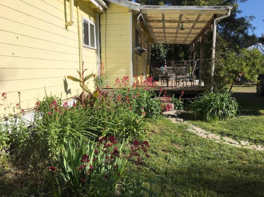 Morning on the porch