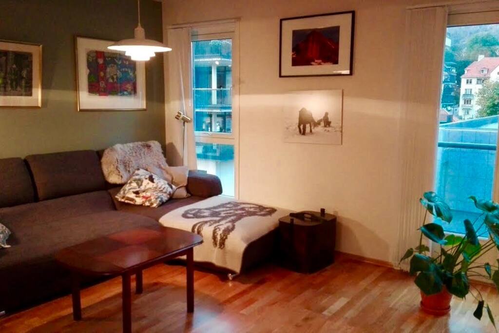 Sofa to lounge in after a long day. You can see the mountains from the window.