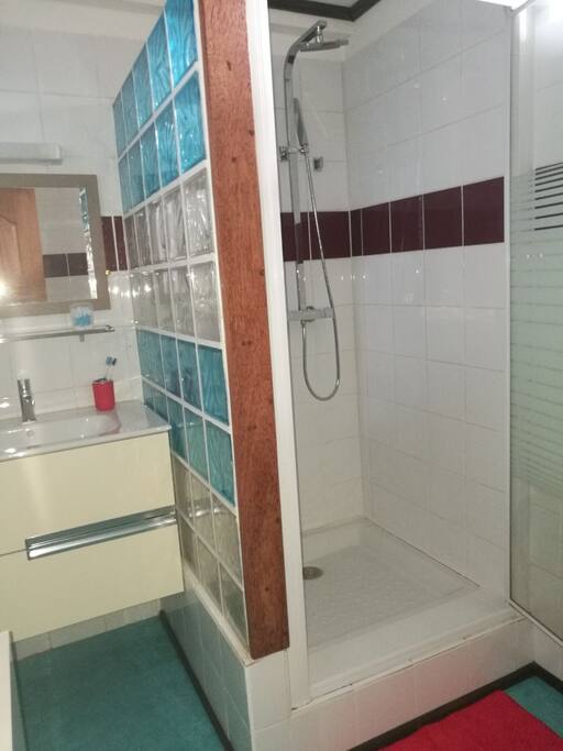 Salle d'eau avec toilettes + lave-linge