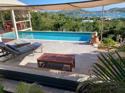 Starr House - contempory villa