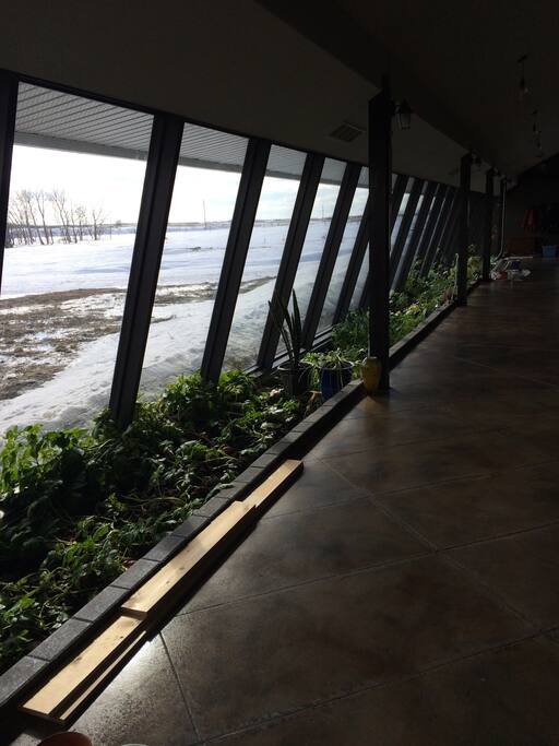 Indoor garden year round...
