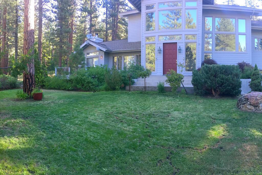 Front Yard - Summer