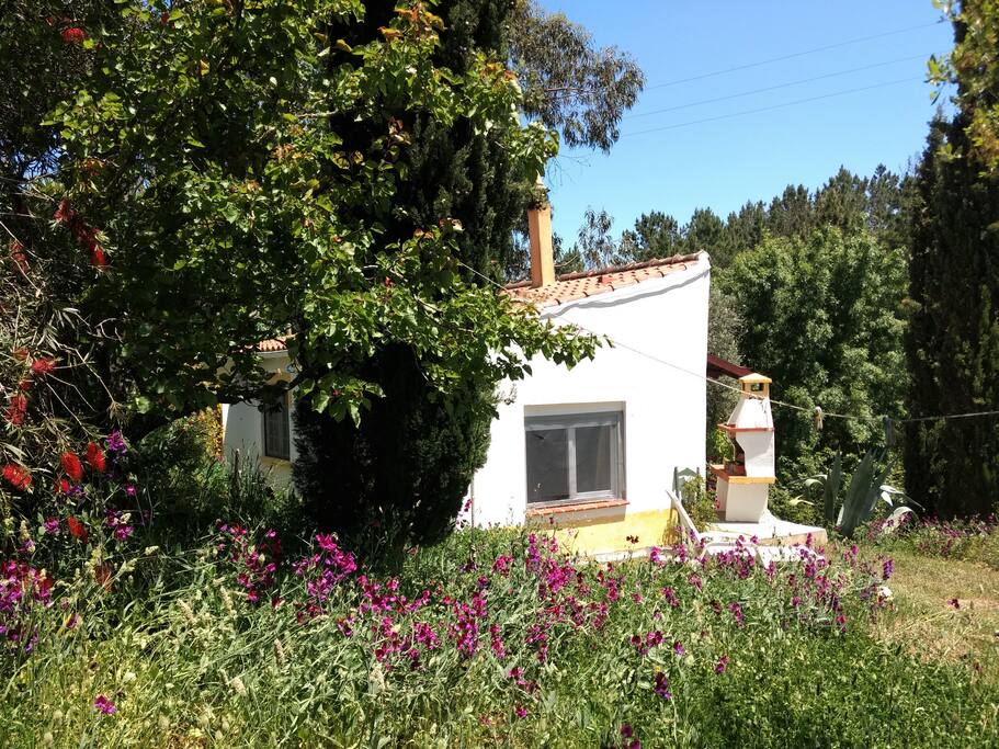 The "Maracuja" in spring and early summer: green and wild flowers all around.