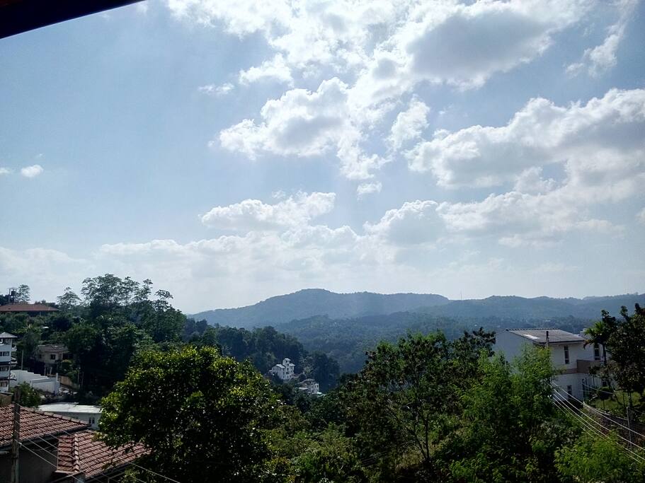 View from a room