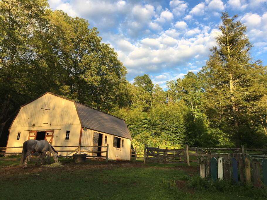 Barn and grounds