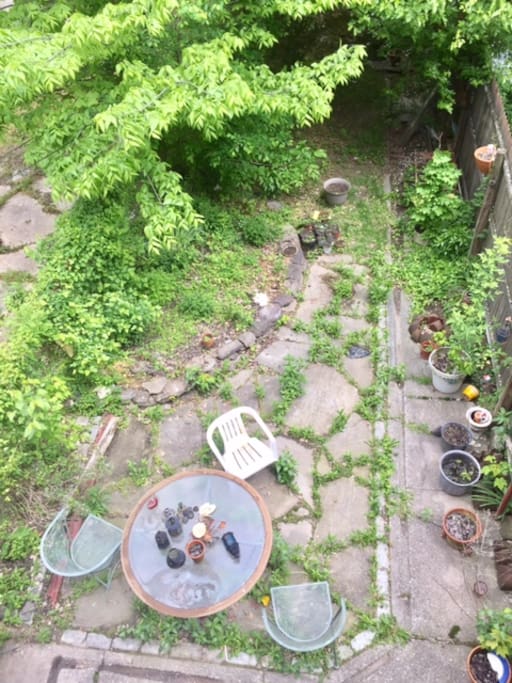 Backyard/patio