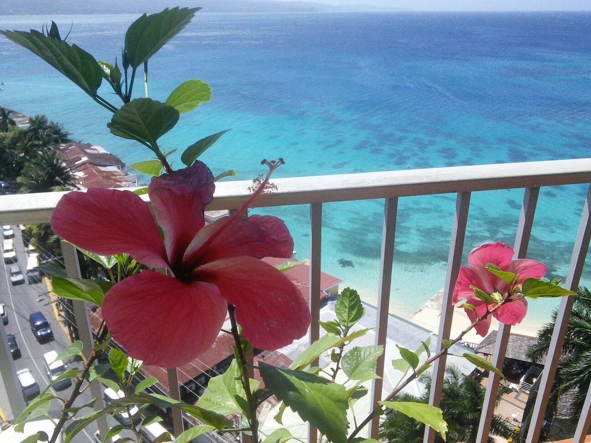 A vibrant pink hibiscus flower is prominently featured in the foreground, with lush green leaves surrounding it. In the background, a sweeping view of the turquoise bay and sandy beach is visible, complemented by distant palm trees along the coastline.