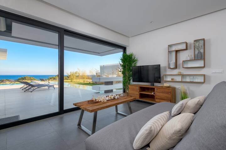 Great Albatross Beach Front Villa gallery image 5