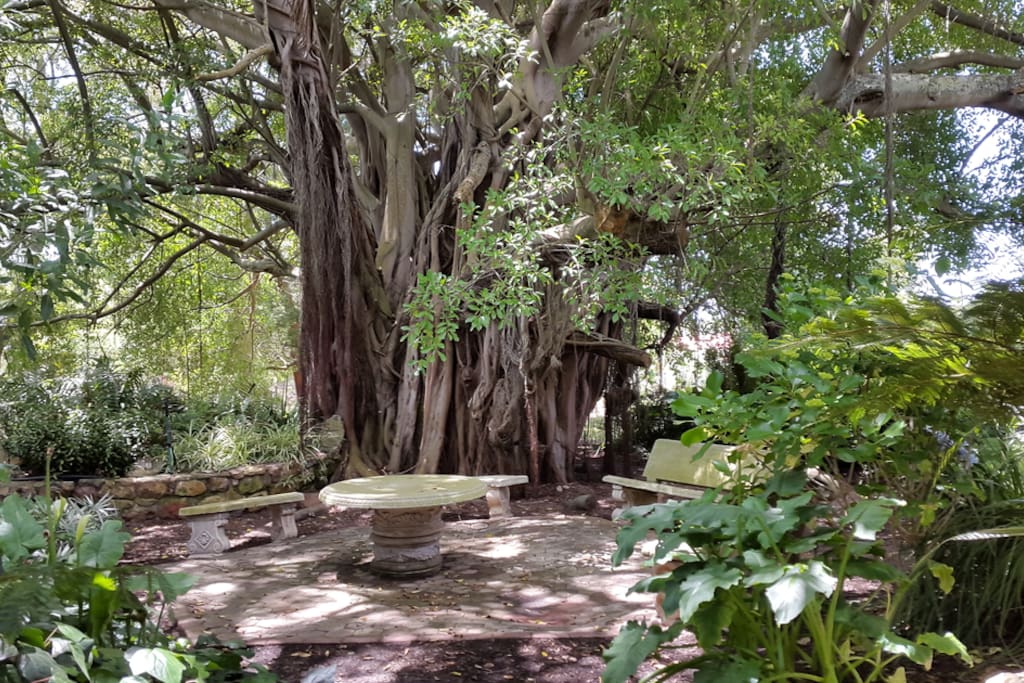 Whispering tree